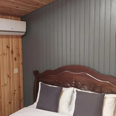 Olimpia Hotel&spa Mizikevycha