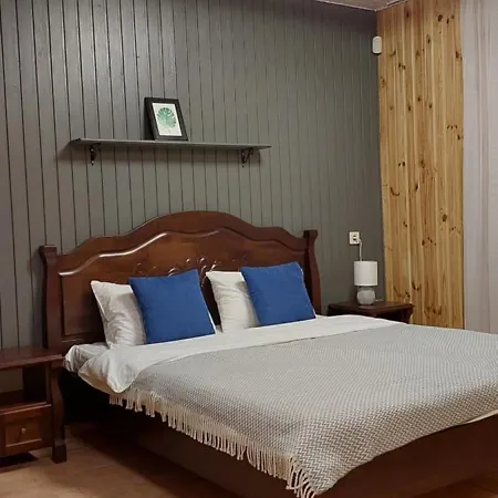 Olimpia Hotel&spa Hotel Mizikevycha