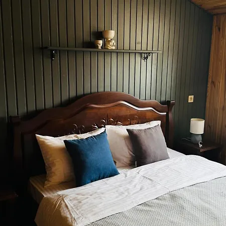 Olimpia Hotel&spa * Mizikevycha